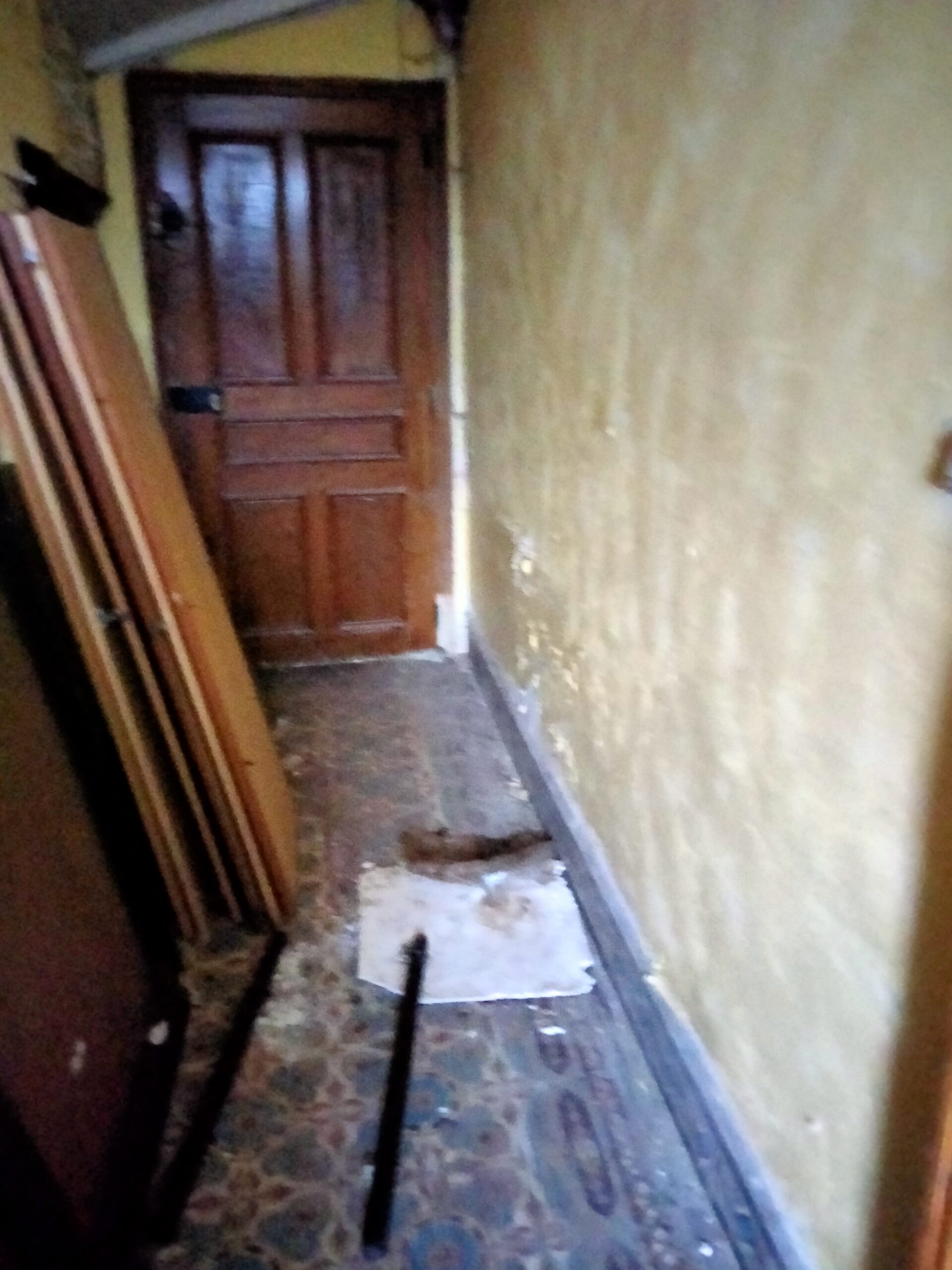 2 Sas DentreeA 1 Scaled